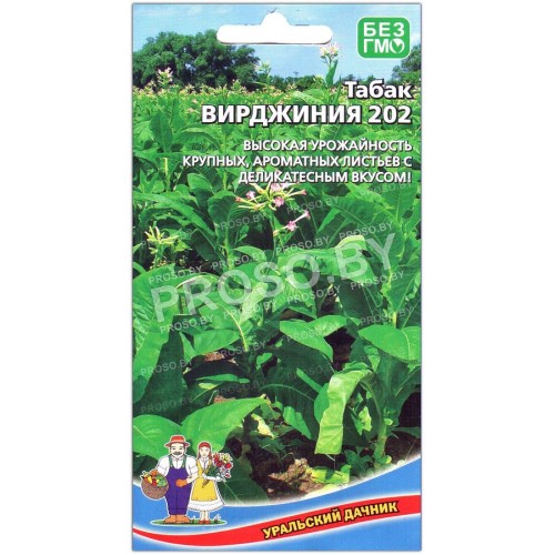 Табак Вирджиния-1