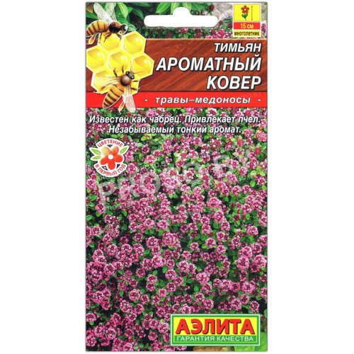 Тимьян (чабрец) Ароматный ковер