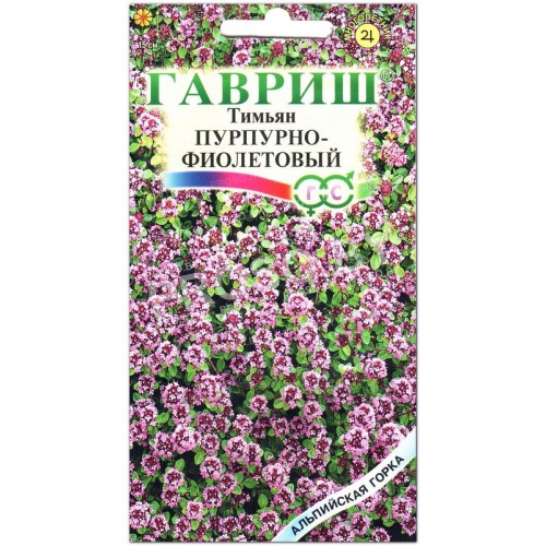 Тимьян (чабрец) Пурпурно-фиолетовый