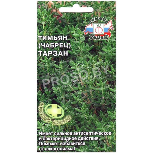 Тимьян (чабрец) Тарзан