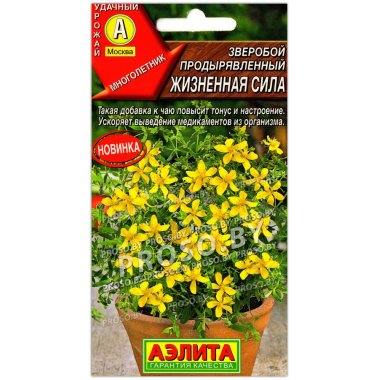 Зверобой продырявленный Жизненная сила