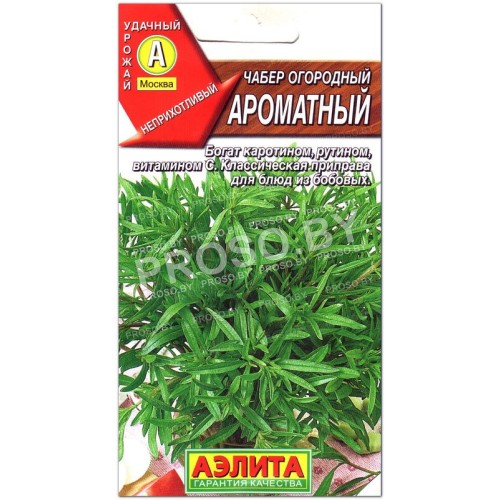 Чабер огородный Ароматный-1