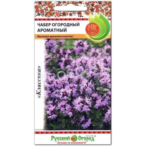 Чабер огородный Ароматный-2