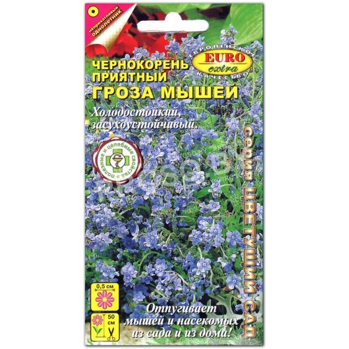 Чернокорень Гроза мышей