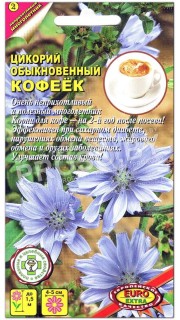 Цикорий обыкновенный Кофеек