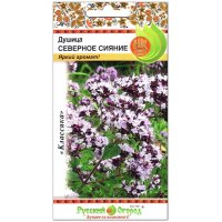 Душица Северное сияние