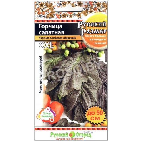 Горчица салатная Русский размер