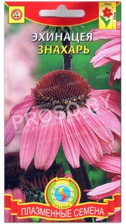 Эхинацея Знахарь