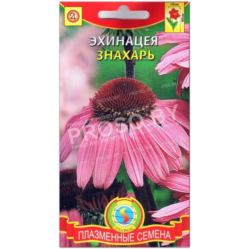 Эхинацея Знахарь