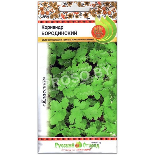 Кориандр Бородинский-1