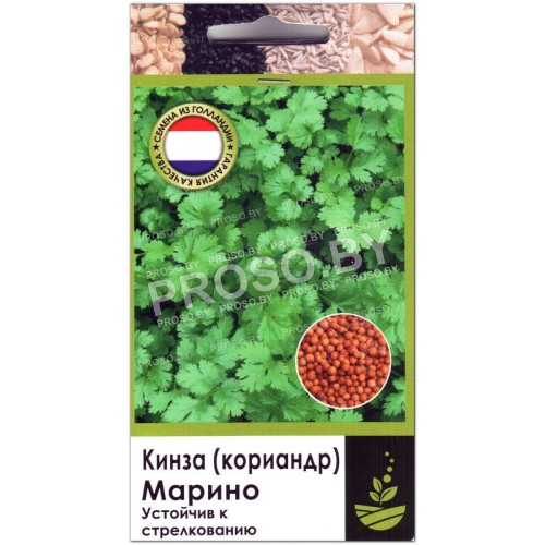 Кориандр (кинза) Марино