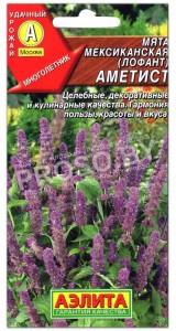 Мята мексиканская (лофант) Аметист