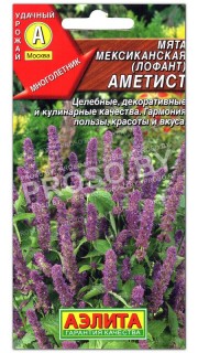 Мята мексиканская (лофант) Аметист