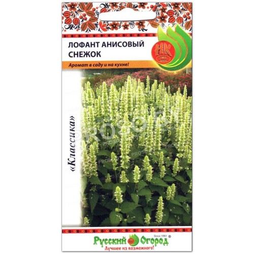 Лофант Анисовый снежок
