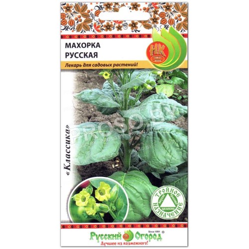 Махорка Русская
