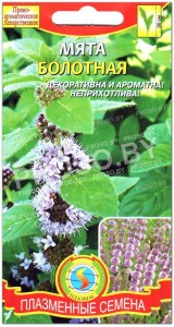 Мята Болотная