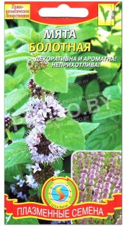 Мята Болотная