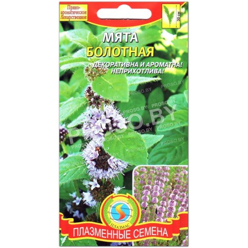 Мята Болотная