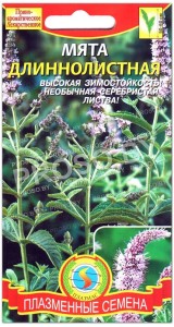 Мята Длиннолистная