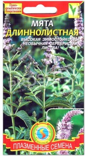 Мята Длиннолистная