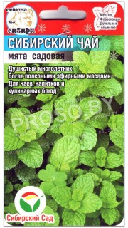 Мята садовая Сибирский чай