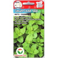 Мята садовая Сибирский чай