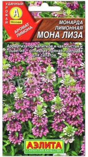Монарда лимонная Мона Лиза