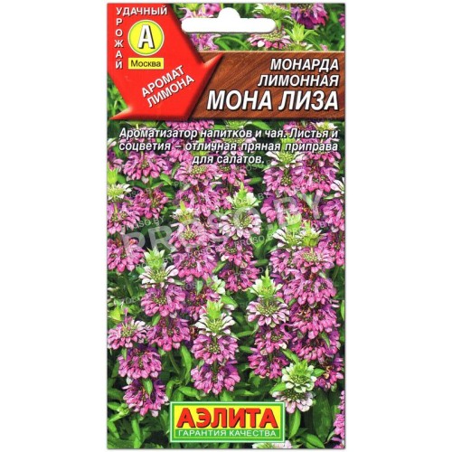 Монарда лимонная Мона Лиза