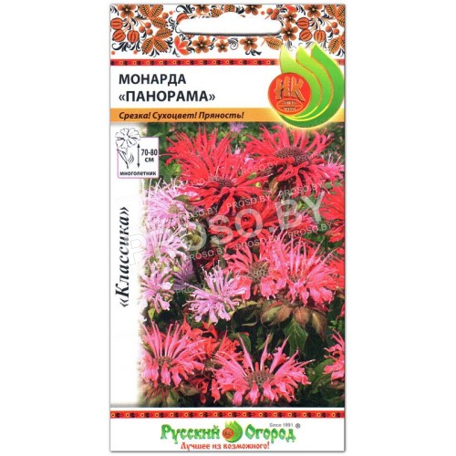 Монарда Панорама-2