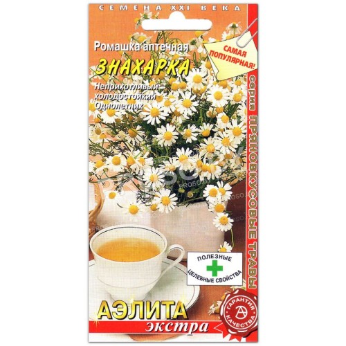 Ромашка аптечная Знахарка