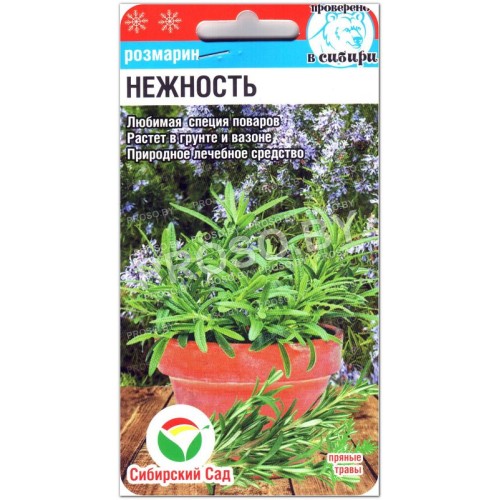 Розмарин Нежность-1