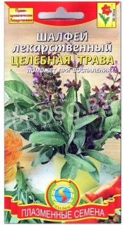 Шалфей лекарственный Целебная трава