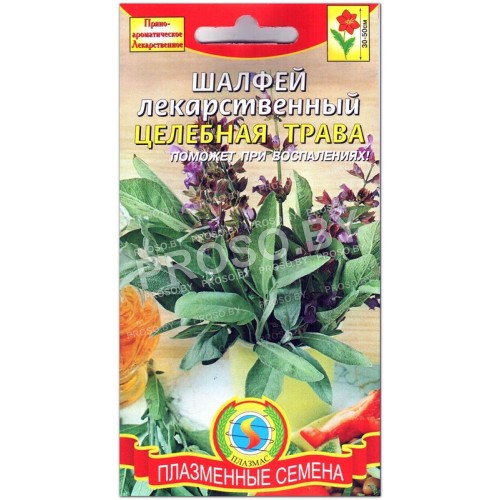 Шалфей лекарственный Целебная трава