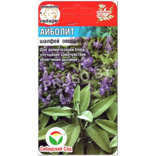 Шалфей овощной Айболит