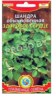 Шандра обыкновенная Здоровое сердце