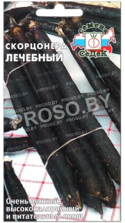 Скорцонера Лечебный