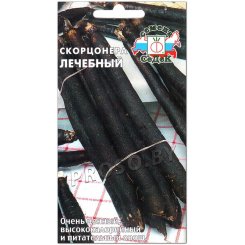 Скорцонера Лечебный