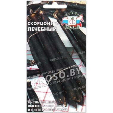 Скорцонера Лечебный