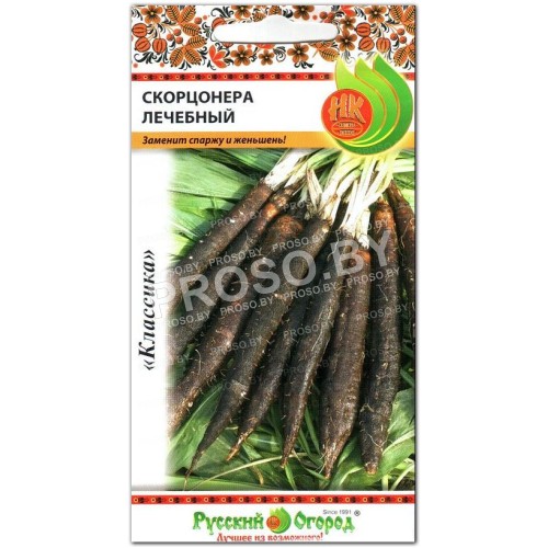 Скорцонера Лечебный-3