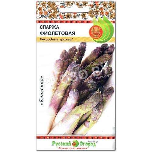 Спаржа Фиолетовая