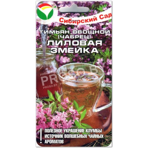 Тимьян (чабрец) Лиловая змейка