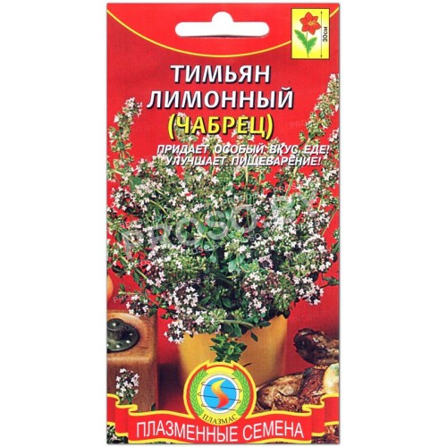 Тимьян Лимонный (чабрец)-1