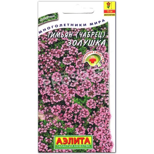 Тимьян Золушка (чабрец)