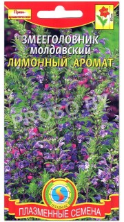 Змееголовник молдавский Лимонный аромат
