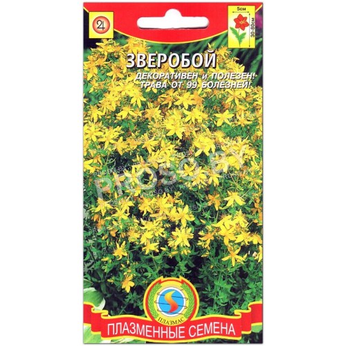 Зверобой
