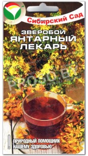 Зверобой Янтарный лекарь