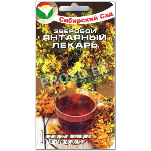 Зверобой Янтарный лекарь