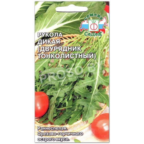 Руккола Дикая