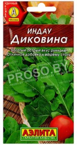 Руккола Диковина