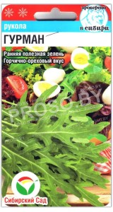 Руккола Гурман